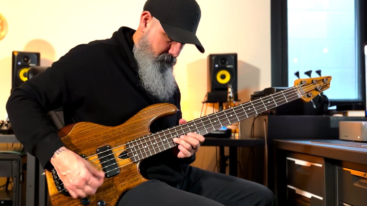 Vicarious Bass Cover | Tool | Wal MK3