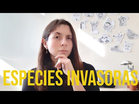Vídeo: Què fa que una espècie invasora tingui èxit?