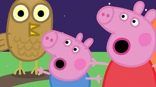 Heo Peppa | Cắm trại | Tập đầy đủ | Heo Peppa Tiếng Việt | Phim Hoạt Hình