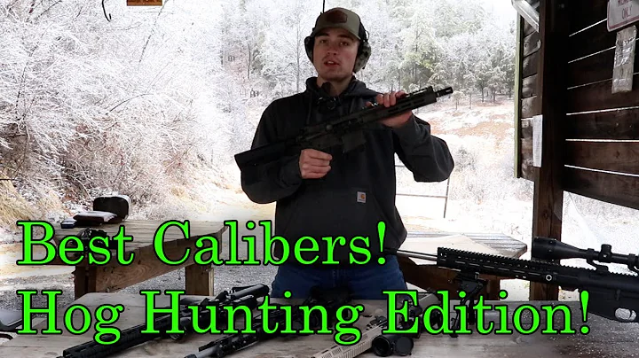 Best Hog Hunting Calibers!