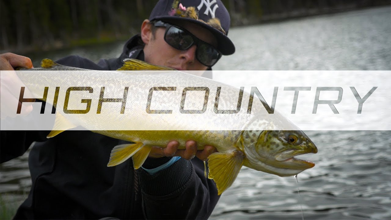 Camping and Trout Fishing - (Highcountry Cutthroat & Tiger trout) 