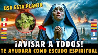 ALERTA URGENTE: TENGA ESTA PLANTA EN CASA PARA SU PROTECCIÓN - MENSAJE DE LA VIRGEN MARÍA