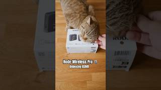 Rode Wireless Pro 🎙️: Unboxing ASMR #shorts #rodemic