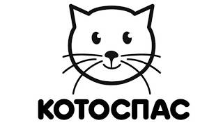 Зимний Котоспас: домик для кошек своими руками (как сделать и где поставить) Зимний Котоспас: домик для кошек своими руками (как сделать и где поставить)