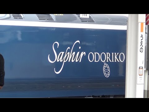 サフィール踊り子(E261系)に上野駅で遭遇しました