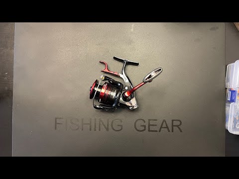 SHIMANO BBX LARISSA C3000DXG 2023, UNBOX, Upgrade and