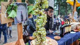 Виноделы Грузии привезли свои лучшие вина на фестиваль в Кахетии