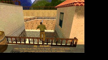 Bunny Half Life CS 1.1