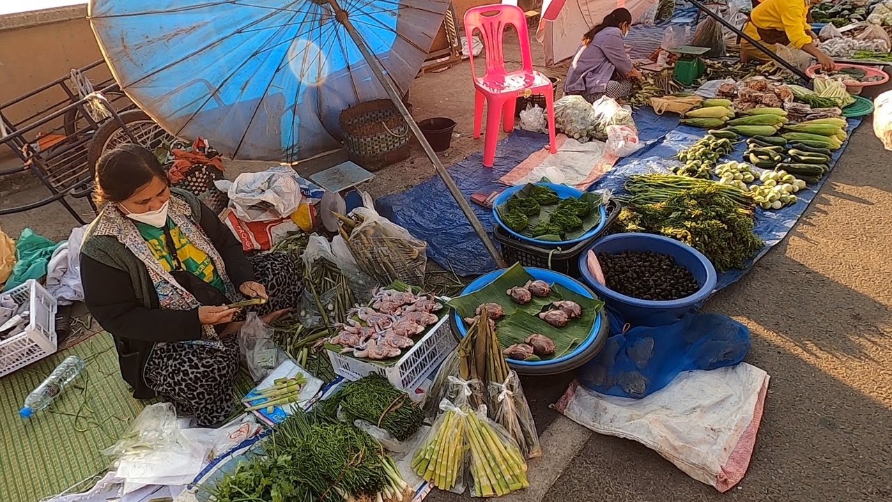 เลาะตลาดนัดธาตุพนม จ.นครพนม : ของป่าอาหารอีสานหลากหลายเมนู ปิ้งปลาค่อเมนูเด็ดเช้านี้ | เนื้อหาอาหาร ประจำ จังหวัด นครพนมล่าสุด