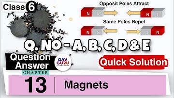 Chapter 13 | Magnets | Class 6 DAV Science | All Question Answer 🔥🔥🔥