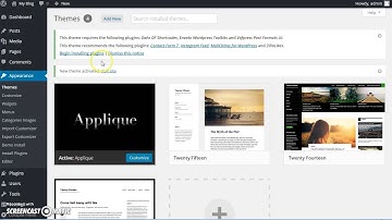 Applique - Fashion Blog theme | Installation Video