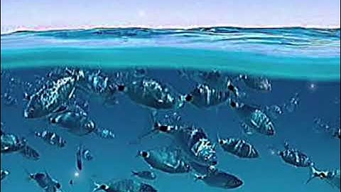 Quake - Official Music Video