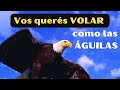 Vos querés VOLAR como las ÁGUILAS...