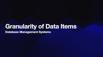 Granularity of Data Items