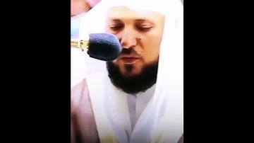 أجمل حالات واتس اب قرآن كريم جديد بصوت الشيخ ماهر المعيقلي#قناة_نخوة_للفوائد