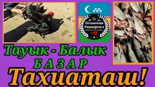 🐓 ТАУЫК БАЗАР 26.05.24ж.#тахиаташ#каракалпакистан#узбекистан#цены#бахалары#цыплята#утёнок#кролики#