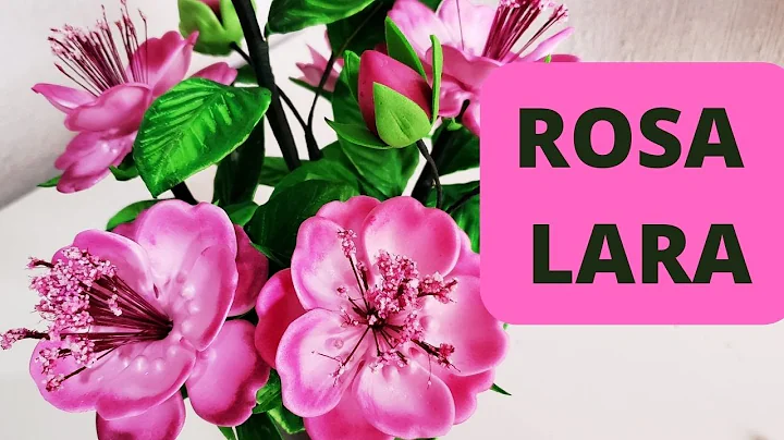 ROSA LARA EM E.V.A!!!