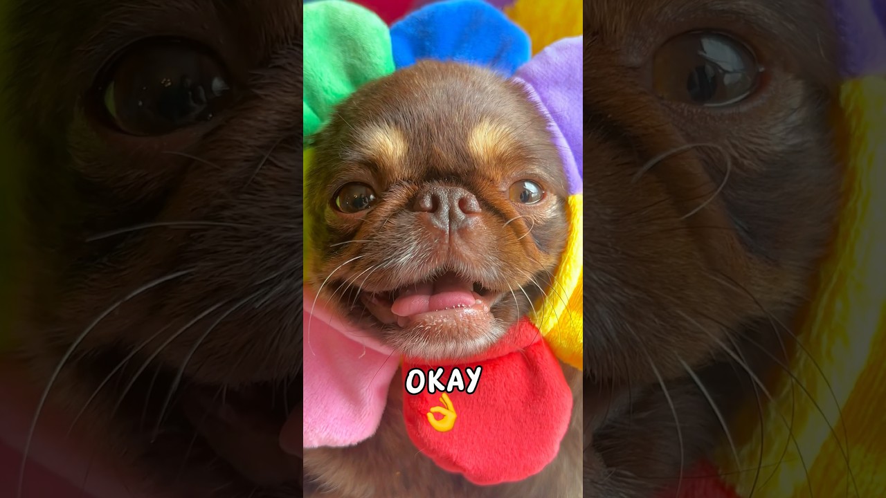 You’re Gonna Be Okay 👌 