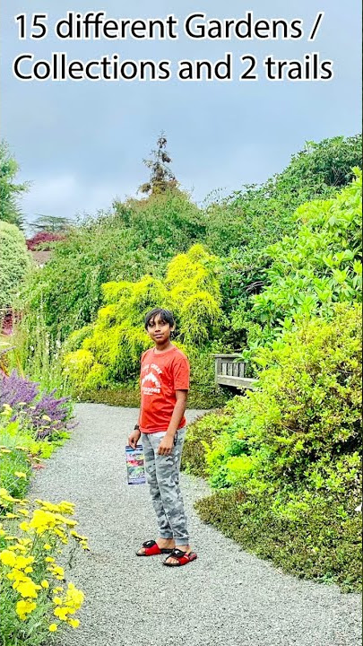 Mendocino Coast Botanical Gardens #shorts