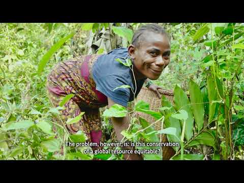 thumbnail of  Déclaration du Partenariat pour les Forêts du Bassin du Congo (PFBC)