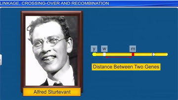 CBSE Class 12 Biology - 5 | Principles of Inheritance and Variation | Part 2 |  Full Chapter | NCERT