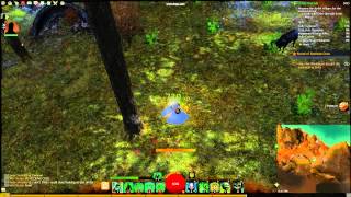 Found a funny bug in guild wars 2