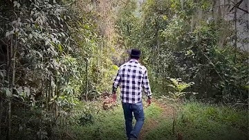 6 Forest Encounters That Will Send Chills Down Your Spine