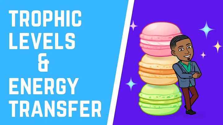 Trophic Levels & Energy Transfer 101