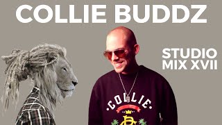 Collie Buddz Special