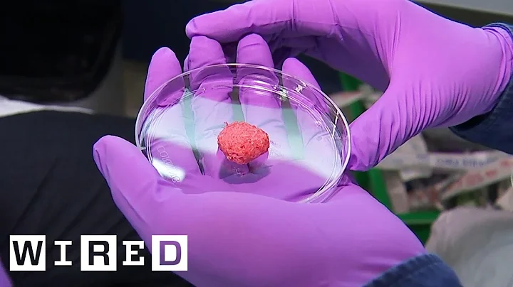 Inside the Quest to Make Lab Grown Meat | WIRED - DayDayNews