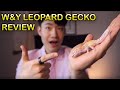 WY LEOPARD GECKO MORPH REVIEW | GECKOPIA