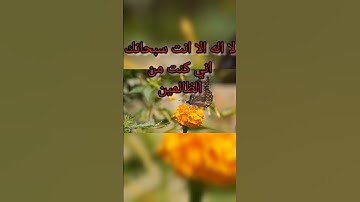 سورة الاخلاص القرآن الكريم