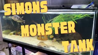 SIMONS MONSTER TANK | HUGE JAGUAR CICHLID
