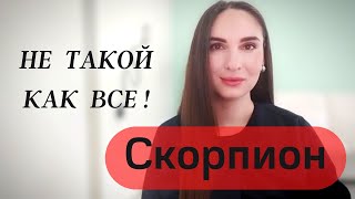 5 ОСОБЕННОСТЕЙ СКОРПИОНА И В ЧЕМ ПРОБЛЕМАТИКА ЗНАКА?