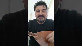 Aşan Bilir Karlı Dağın Ardını Resimi