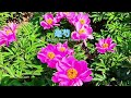 дєіиЌЇиЉ жµ вЂ вЂ еЏ е иЉЌиЉ жЂ ж ѕж дєіиЌЇиЉ жµ вЂ вЂ еЏ е иЉЌиЉ жЂ ж ѕж