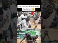 Lamb meune Lou nek #senegal #seneweb #lamb #luttesénégalaise #viral #tiktok #lutte #bdlamb