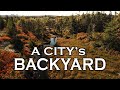 A City's Backyard - Solo Camping in an Urban Wilderness