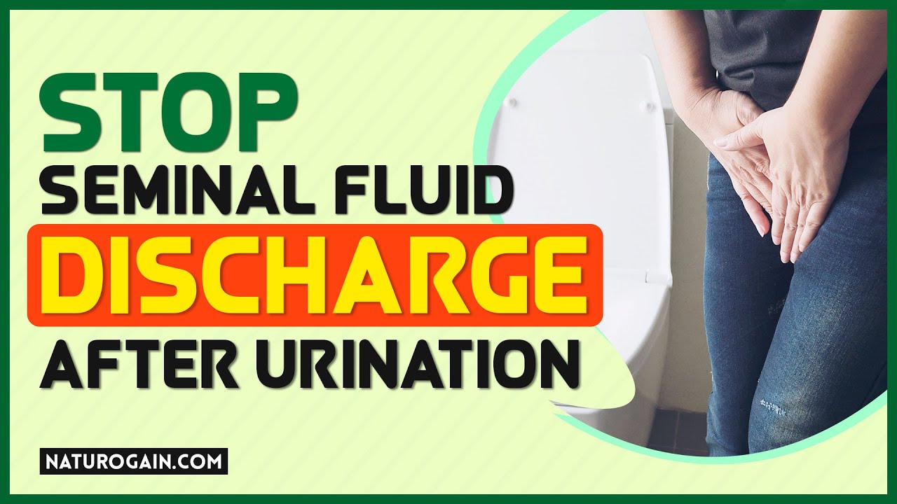 Stop Seminal Fluid Discharge After Urination Natural Treatment Youtube