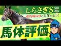 【しらさぎS 2026】雨予報×最終週の馬場で中距離タイプが躍進する!?デキも絶好調に映る好馬体の1頭にイチオシ本命◎