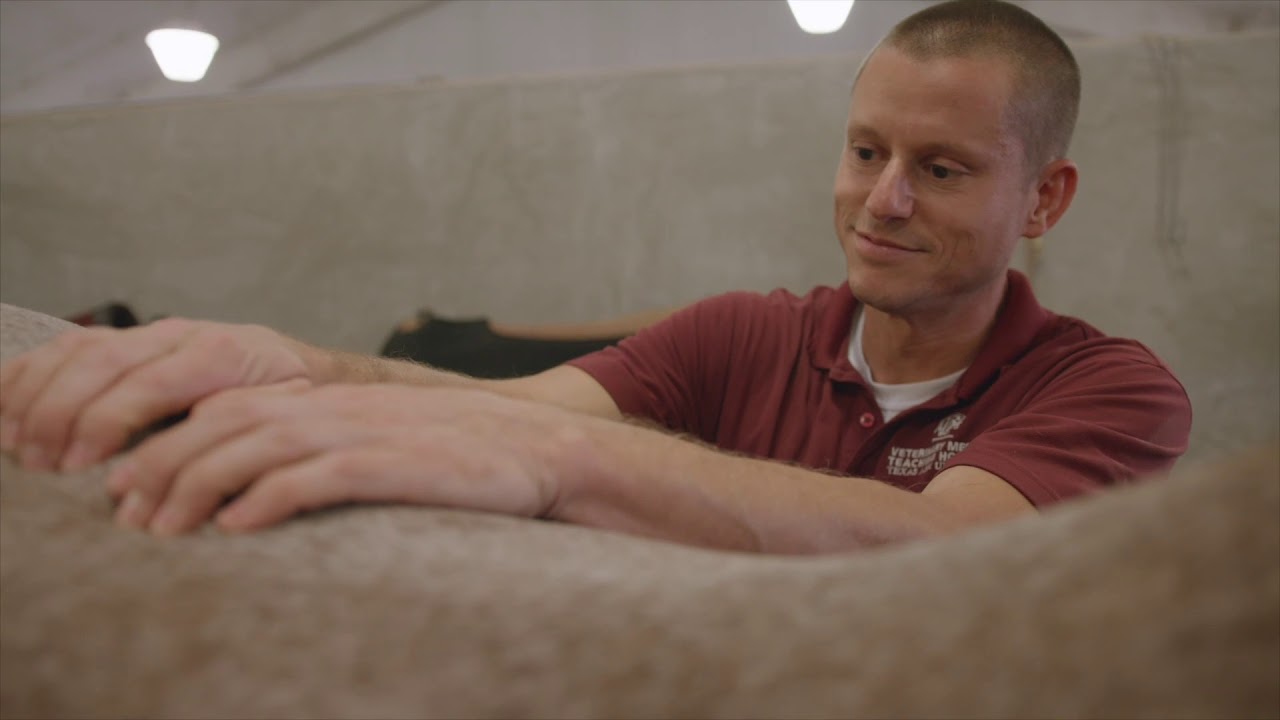 Veterinary Developed Equine Nutrition and Platinum Performance with Dr