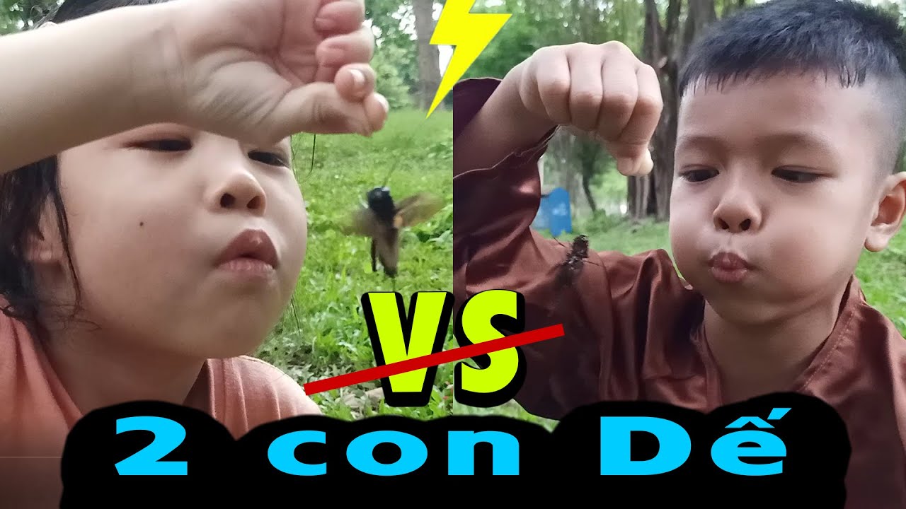 Video YouTube
