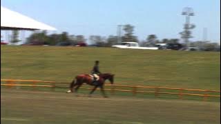 jihan AA working hunter 36 YouTube sharing