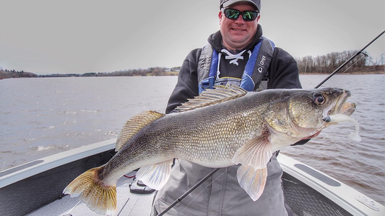 Precision Trolling Tactics for Spring Walleye - Temple Fork Outfitters