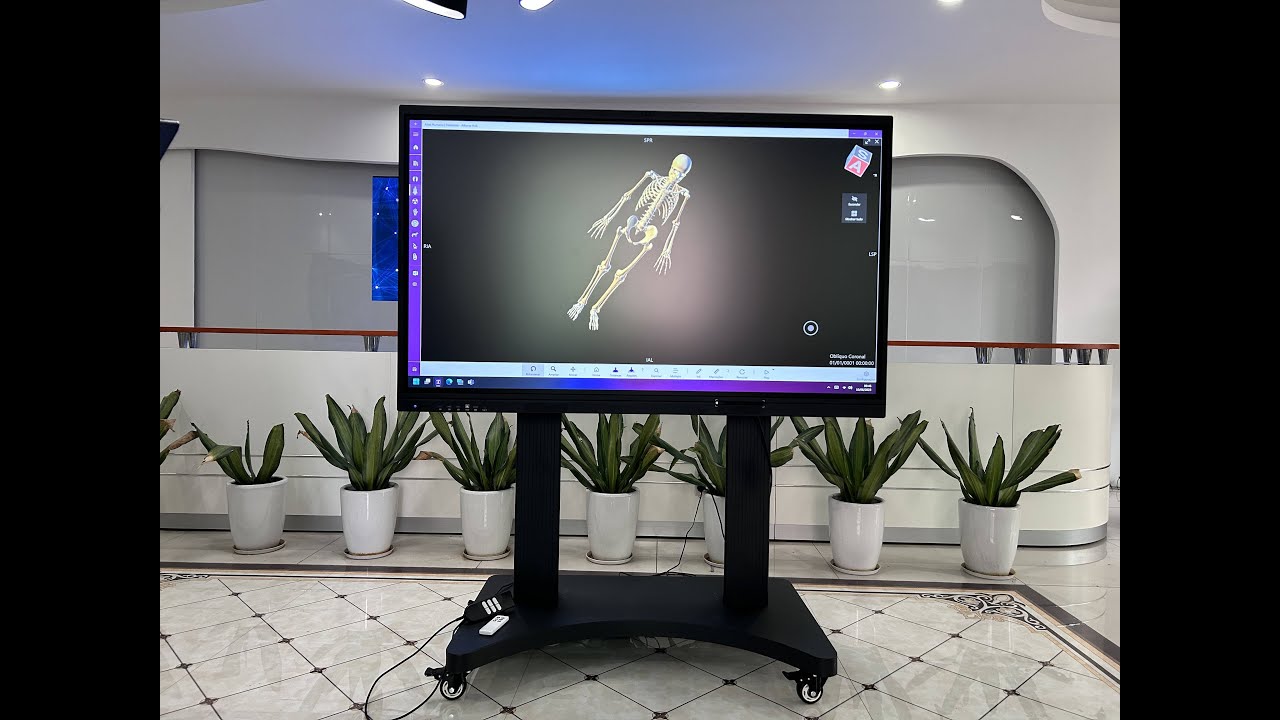 65 INCH INTERACTIVE FLAT PANEL FOR MEDICAL EDUCATION