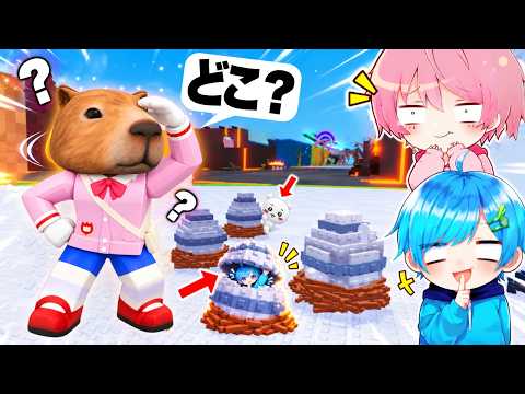 卵を盗むかくれんぼで『99.999%バレない場所』に隠れたらまさかの結果にwww【ROBLOX】【ROBLOX】【ロブロックス/ろぶろっくす】みそら&てるとくん