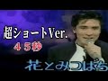 【短かッ!】郷ひろみ/花とみつばち:COVER幸ちん/詳細は説明欄にて