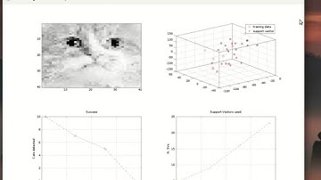 Machine Learning  - SVM cats
