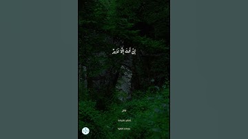 تلاوة ندية من سورة فاطر | "وما يستوي الأعمى والبصير" | إسلام عثمان