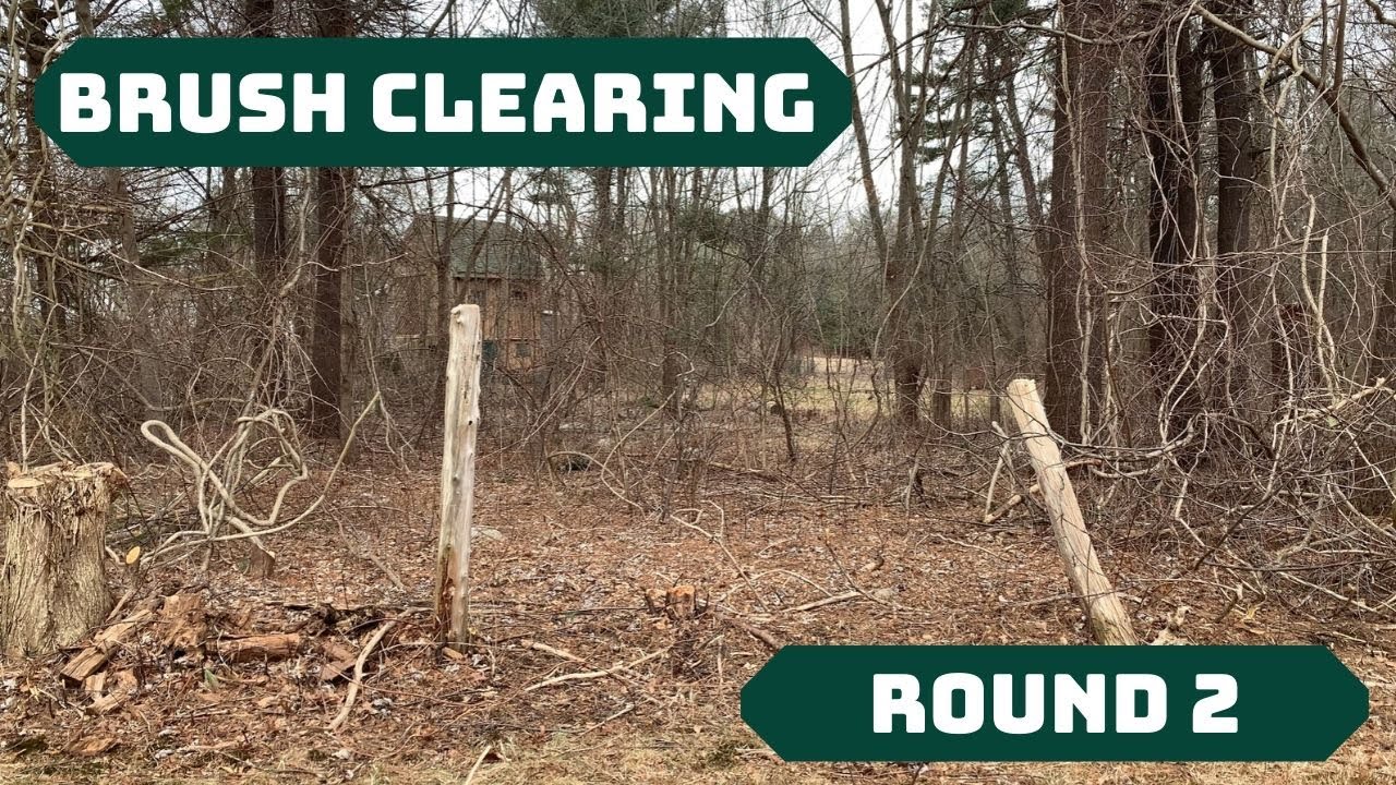 BRUSH REMOVAL Cleaning the Creek Garden Part 2 TIMELAPSE YouTube